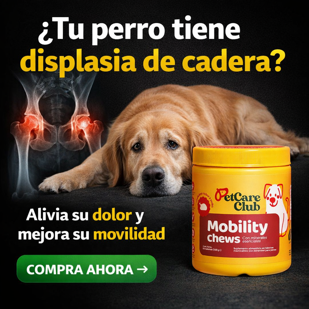 Displasia canina